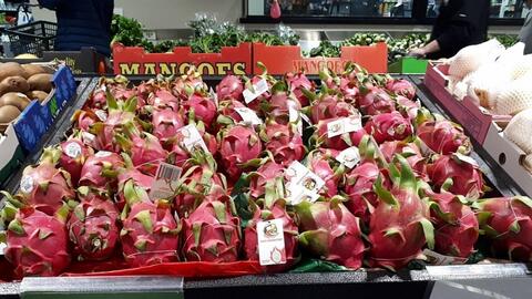 Thanh long Việt Nam “phủ sắc đỏ” tại Úc