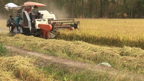 Vật tư nông nghiệp tăng giá, nông dân đối diện nguy cơ sản xuất thua lỗ 