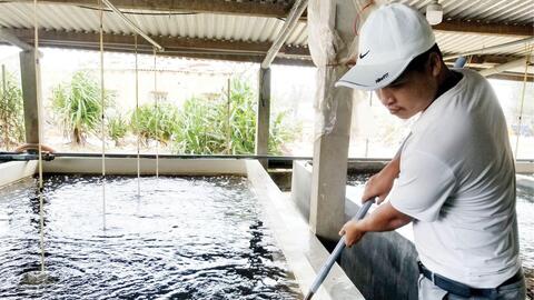 Thiếu chủ động nguồn giống thủy sản
