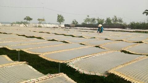 OCOP Lào Cai nâng tầm nông sản địa phương