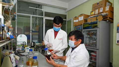 Phát triển nhân lực chất lượng cao ngành công nghệ sinh học