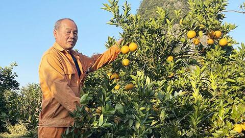 Hòa Bình đẩy mạnh ứng dụng công nghệ sinh học