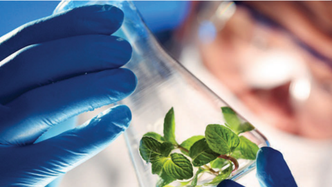 Tổng quan về công nghệ sinh học trên thế giới và định hướng phát triển công nghiệp sinh học Việt Nam giai đoạn 2021-2030