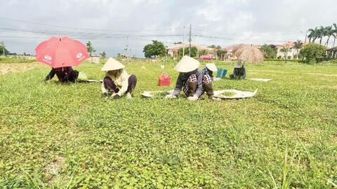 Chú trọng chất lượng các tiêu chí xây dựng nông thôn mới