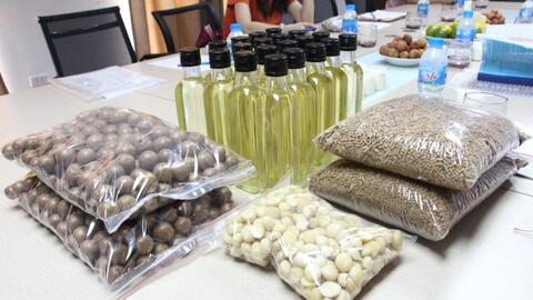 Sản xuất thành công nhiều sản phẩm từ cây mắc ca