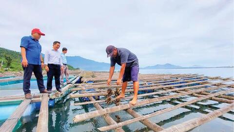 Mô hình kinh tế mới hiệu quả của nông dân