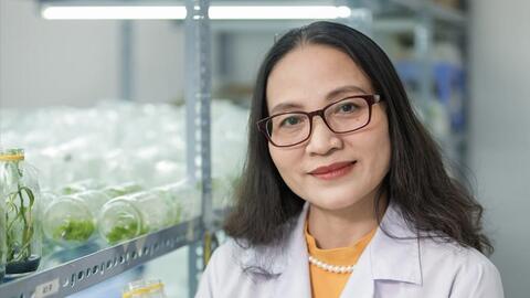 Chế phẩm chitosan từ vỏ tôm giúp kéo dài thời gian bảo quản nông sản