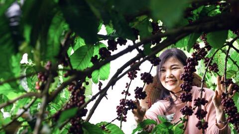 Nữ giám đốc IT đi lên từ cà phê sạch trên đất đỏ bazan