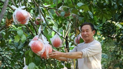 Nhân rộng giống cây, con đặc sản để nâng tầm nông sản Thủ đô