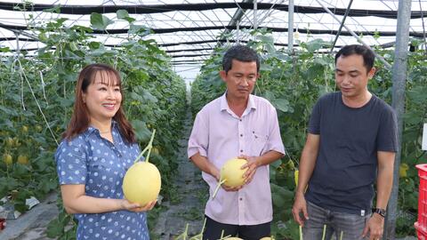 Đẩy mạnh thu hút nhà đầu tư vào sản xuất nông nghiệp công nghệ cao 
