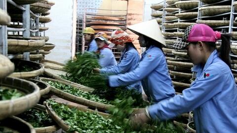 Phát triển chuỗi giá trị nông sản an toàn trong nông thôn mới