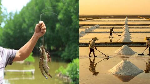 Sáu tỉnh miền Tây hướng mạnh ra biển