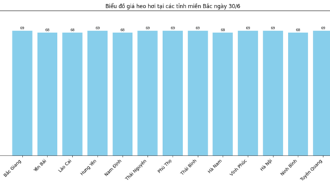 Giá heo hơi hôm nay 30/6/2025: Giảm nhẹ tại miền Trung, miền Nam