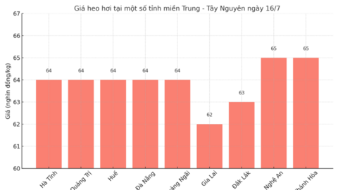 Giá heo hơi hôm nay 16/7/2025: Miền Bắc, miền Trung - Tây Nguyên lao dốc