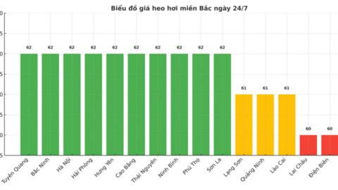Giá heo hơi hôm nay ngày 24/7/2025: Tiếp đà trượt dài, thấp nhất 59.000 đồng/kg