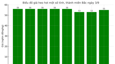 Giá heo hơi hôm nay 3/9/2025: Duy trì ổn định