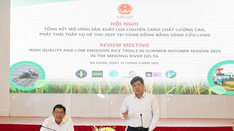 Hướng tới nền nông nghiệp xanh từ mô hình lúa chất lượng cao