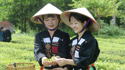 Nông sản vùng đồng bào dân tộc: Cần bảo chứng để vươn xa