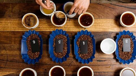 Giá cà phê Việt Nam có bị đảo lộn bởi biến đổi khí hậu?