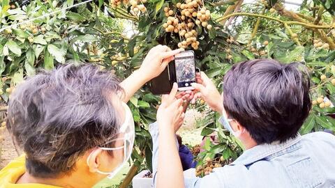 Từ nương rẫy lên sàn số: Nông sản Thái Nguyên đổi thay