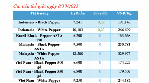 Giá tiêu hôm nay 8/10/2025: Neo ở mức cao