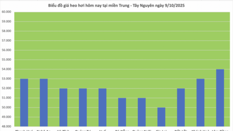 Giá heo hơi hôm nay 9/10/2025: Giảm nhẹ ở miền Bắc và miền Nam