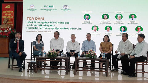 Đất lúa khỏe, chìa khóa nâng cao chất lượng và sức cạnh tranh gạo Việt