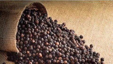 Xuất khẩu hồ tiêu Việt Nam vượt mốc kỷ lục 1,33 tỷ USD