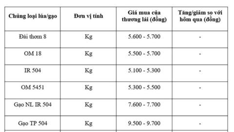 Giá lúa gạo hôm nay ngày 7/11: Gạo xuất khẩu biến động, lúa chững giá