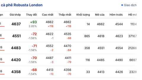 Giá cà phê hôm nay 12/11/2025: Nội địa giảm nhẹ