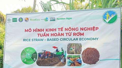 Nông nghiệp tuần hoàn bắt đầu lan tỏa từ những cánh đồng ở miền Tây