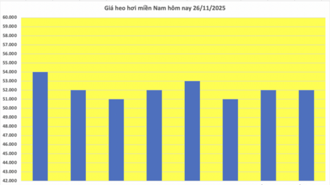 Giá heo hơi hôm nay 26/11/2025: Tăng giảm trái chiều