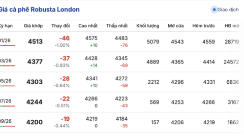 Giá cà phê hôm nay 27/11/2025: Bật tăng trở lại