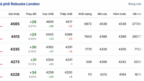 Giá cà phê hôm nay 01/12/2025: Đi ngang phiên đầu tuần