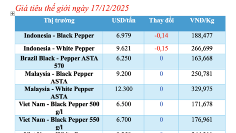 Giá tiêu hôm nay 17/12/2025: Tăng nhẹ