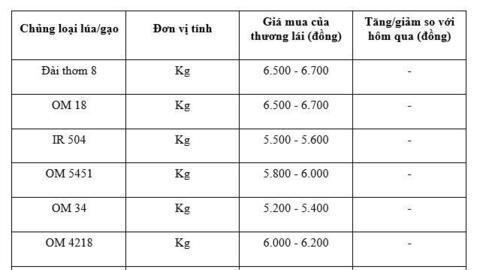 Giá lúa gạo hôm nay ngày 6/1: Gạo xuất khẩu tiếp đà tăng