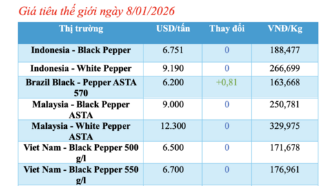 Giá tiêu hôm nay 8/1/2026: Trong nước đi ngang