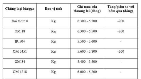Giá lúa gạo hôm nay ngày 14/1/2026: Lúa tươi đồng loạt giảm