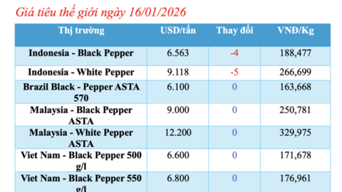 Giá tiêu hôm nay 16/1/2026: Quay đầu giảm