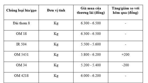 Giá lúa gạo hôm nay ngày 28/1/2026: Lúa tươi tăng giảm trái chiều