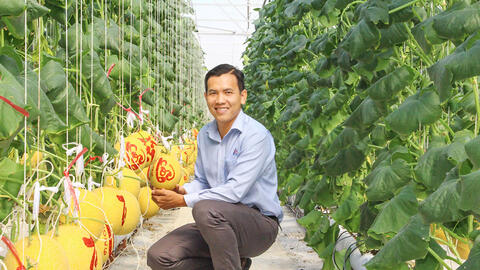 “Áo mới” cho trái cây chưng Tết