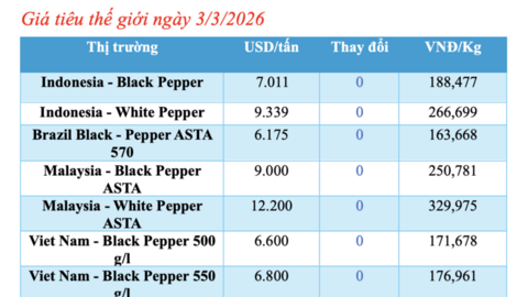 Giá tiêu hôm nay 3/3/2026: Giảm sâu