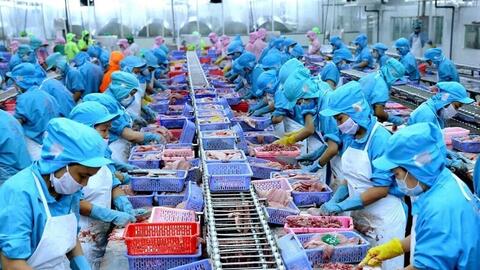 Xung đột Trung Đông: Cơ hội để hàng Việt 'gõ cửa' thị trường Brazil