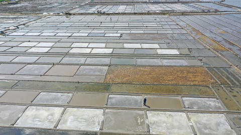 Quảng Ngãi: Giá muối tăng kỷ lục, diêm dân Sa Huỳnh phấn khởi