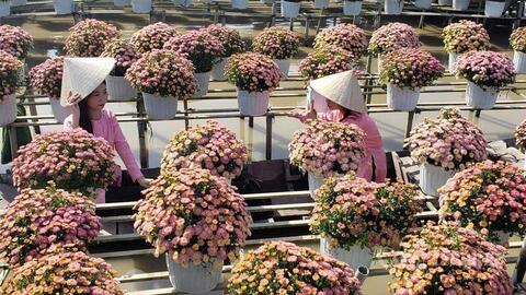 Đồng Tháp: Đặt mục tiêu đón 8 triệu lượt khách du lịch trong năm 2026