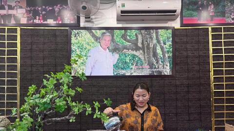 Từ chè Shan tuyết đến mỹ phẩm: Hành trình nâng giá trị đặc sản Tuyên Quang