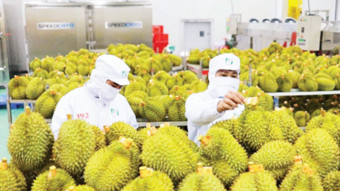 Gia tăng kiểm soát chuỗi cung ứng nông sản
