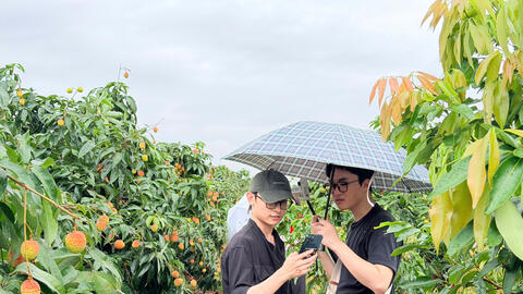 KOL, KOC hưởng ứng cuộc thi 'Vải thiều Bắc Ninh - Trái ngọt lan tỏa'