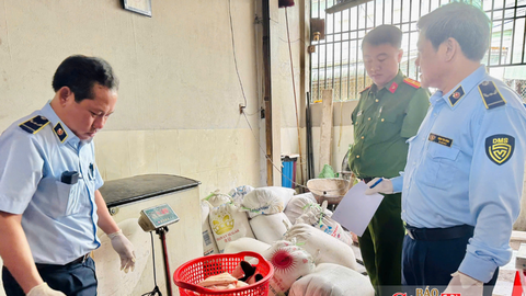 Gia Lai tạm giữ hơn 2 tấn mỡ, da động vật không rõ nguồn gốc