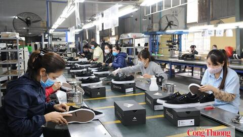 EVFTA 'mở cửa' thuế quan, hàng Việt bước vào cuộc đua tiêu chuẩn